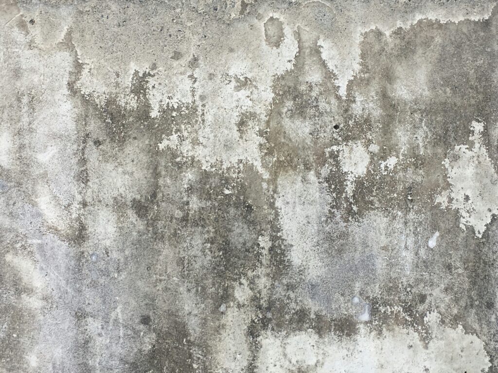 Clean, dry basement interior after waterproofing and mold prevention